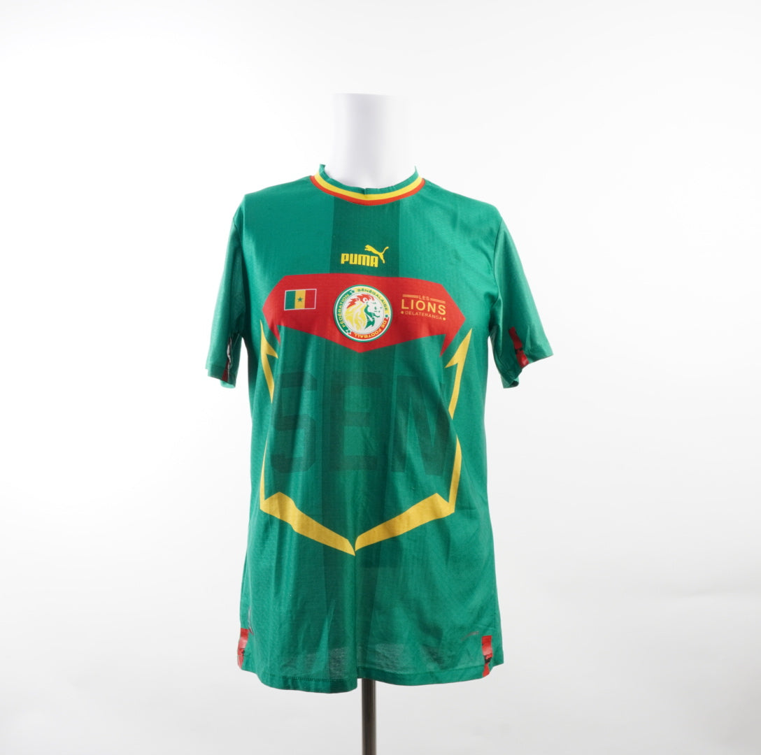 Puma Herren Trikot - M, Grün, Größe M, Herren, Zustand Sehr Gut, Preis 40€ – Vorderansicht